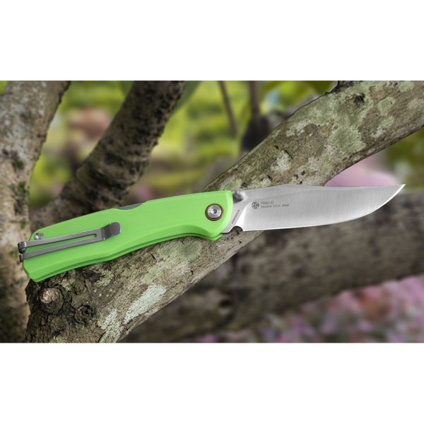 Ніж складаний туристичний Ruike P882-G, (8.5 см) 12C27 / G10 зелений 68348 фото